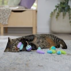 Frisco Fabric & Play Plastic Balls Cat Toy 8 Frisco Fabric & Play Plastic Balls Cat Toy -Cat Dog Supply Store 526030 PT3. AC SS1800 V1669148132