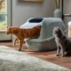 Frisco Mega Deluxe Litter Box -Cat Dog Supply Store 526526 MAIN. AC SS1800 V1659623787