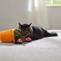 Frisco Spring Potted Plant And Ladybugs Interactive Plush Cat Toy With Catnip 10 Frisco Spring Potted Plant And Ladybugs Interactive Plush Cat Toy With Catnip -Cat Dog Supply Store 541542 PT3. AC SS1800 V1671814448