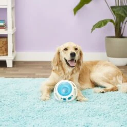 JW Pet Rockin Treat Ball -Cat Dog Supply Store 55169 PT2. AC SS1800 V1530541353