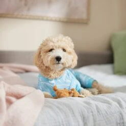 Frisco Blue Ocean Waves Dog & Cat Jersey PJs -Cat Dog Supply Store 556142 PT5. AC SS1800 V1674828705