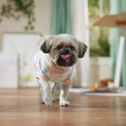 Frisco Vintage Tropical Dog & Cat Pocket T-Shirt -Cat Dog Supply Store 556598 PT5. AC SS1800 V1675101997