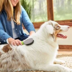 TropiClean Luxury 2 In 1 Papaya & Coconut Pet Shampoo & Conditioner & Frisco Cat & Dog Bristle Brush -Cat Dog Supply Store 575094 PT7. AC SS1800 V1657660395