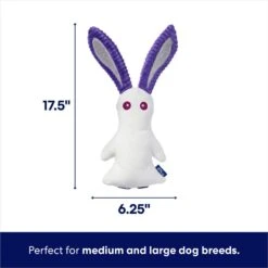 Frisco Halloween Bunny Ghost Plush Squeaky Dog Toy -Cat Dog Supply Store 667878 PT1. AC SS1800 V1689271353