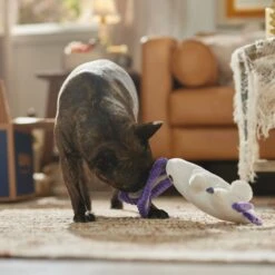 Frisco Halloween Bunny Ghost Plush Squeaky Dog Toy -Cat Dog Supply Store 667878 PT3. AC SS1800 V1689340856