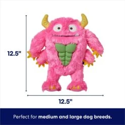 Frisco Halloween Zany Monster Muscle Plush Squeaky Dog Toy -Cat Dog Supply Store 668166 PT1. AC SS1800 V1689343884
