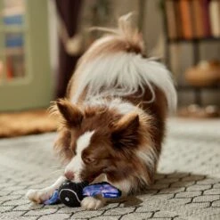 Frisco Halloween Bat Fetch Squeaky Tennis Ball Dog Toy 10 Frisco Halloween Bat Fetch Squeaky Tennis Ball Dog Toy -Cat Dog Supply Store 668278 PT3. AC SS1800 V1689350166