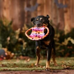 Frisco Halloween Ghost Swirl Fetch Flyer Dog Toy -Cat Dog Supply Store 668294 PT3. AC SS1800 V1689278363