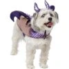 Frisco Dragon Dog & Cat Costume Accessory -Cat Dog Supply Store 706582 MAIN. AC SS1800 V1689271214