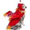 Frisco Flying Phoenix Dog & Cat Costume -Cat Dog Supply Store 708150 MAIN. AC SS1800 V1691084858