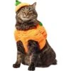 Frisco Pumpkin Ball Dog & Cat Costume -Cat Dog Supply Store 708902 MAIN. AC SS1800 V1689351821