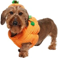 Frisco Pumpkin Ball Dog & Cat Costume -Cat Dog Supply Store 708902 PT2. AC SS1800 V1689351041