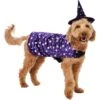 Frisco Cosmic Witch Dog & Cat Costume 1 Frisco Cosmic Witch Dog & Cat Costume -Cat Dog Supply Store 708982 MAIN. AC SS1800 V1689282565