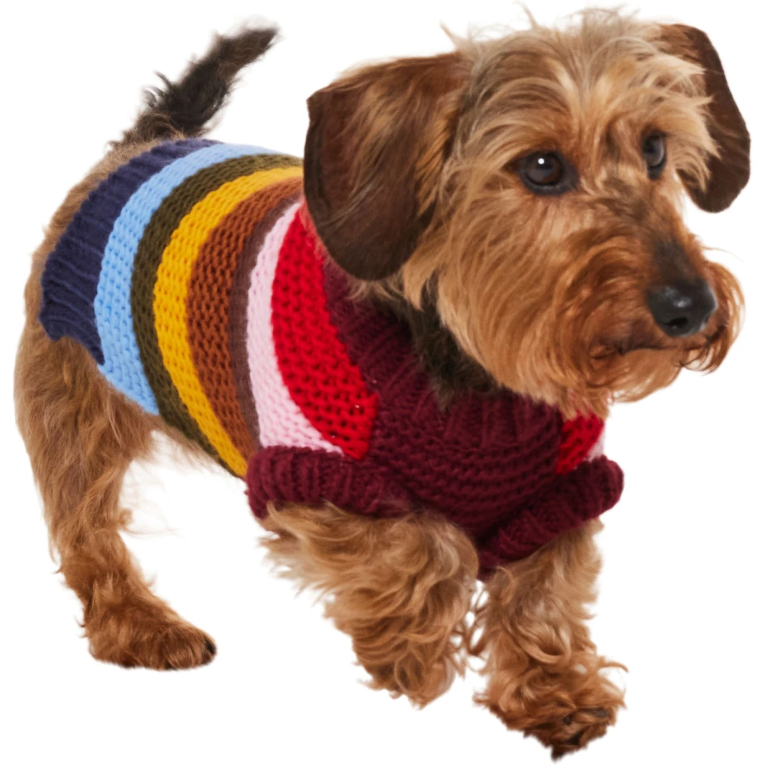 Frisco Chunky Knit Multi-Stripe Dog & Cat Sweater 5 Frisco Chunky Knit Multi-Stripe Dog & Cat Sweater - Image 3