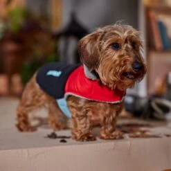 Frisco Medium Weight Retro Colorblock Mixed Media Dog & Cat Coat -Cat Dog Supply Store 719462 PT7. AC SS1800 V1692379031