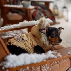 Frisco Heavy Weight Matte Quilted Dog & Cat Parka With Cozy Fleece Lining -Cat Dog Supply Store 719654 PT7. AC SS1800 V1692376037