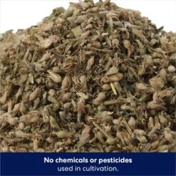 Frisco Natural Catnip & Hartz Cattraction Silver Vine & Catnip Gator Cat Scratcher Toy, Color Varies -Cat Dog Supply Store 737470 PT3. AC SS1800 V1683212146