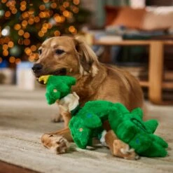 Frisco Holiday Elf In A Tree Bungee Plush Squeaky Dog Toy -Cat Dog Supply Store 739846 PT3. AC SS1800 V1695047600