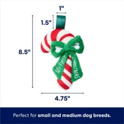Frisco Holiday My First Christmas Candy Cane Plush Squeaky Puppy Toy -Cat Dog Supply Store 739942 PT1. AC SS1800 V1695043437
