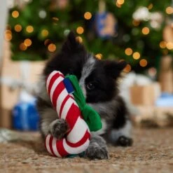 Frisco Holiday My First Christmas Candy Cane Plush Squeaky Puppy Toy -Cat Dog Supply Store 739942 PT3. AC SS1800 V1694809484