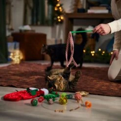 Frisco Holiday Cozy Christmas Sack Variety Pack Cat Toy With Catnip -Cat Dog Supply Store 740054 PT3. AC SS1800 V1694812461