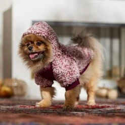 Frisco Textured Wubby 2-Tone Fleece Dog & Cat Hoodie -Cat Dog Supply Store 742406 PT7. AC SS1800 V1692378336