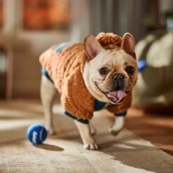 Frisco Wubby Textured Fleece Dog & Cat Hoodie W/ Pocket -Cat Dog Supply Store 742510 PT7. AC SS1800 V1692377765