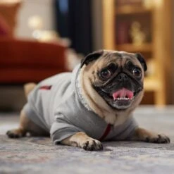 Frisco Sweatshirt Fleece Dog & Cat Hoodie With Sherpa Lining -Cat Dog Supply Store 742550 PT7. AC SS1800 V1692378690