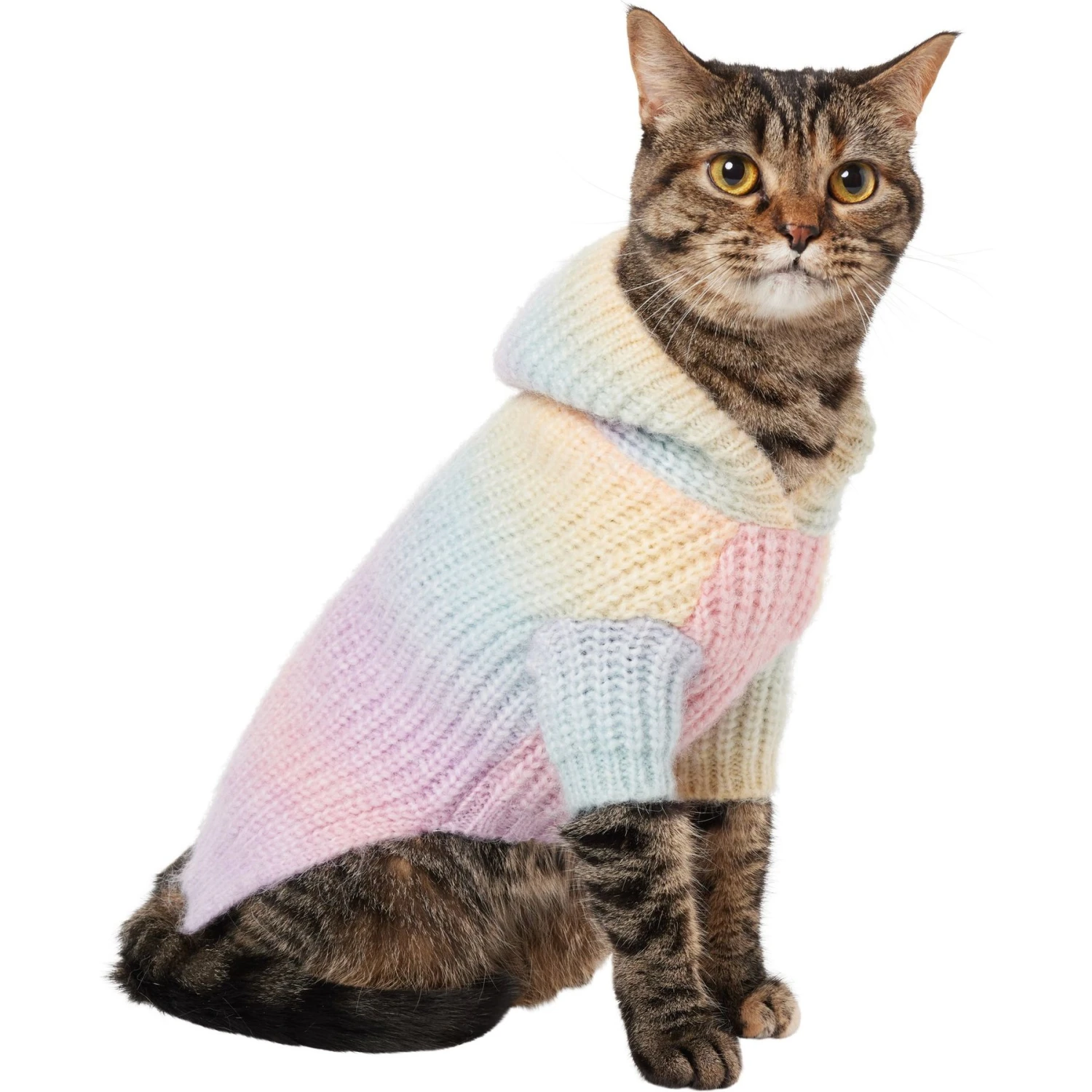 Frisco Soft Multi Stripe Ombre Dog & Cat Hooded Sweater 3 Frisco Soft Multi Stripe Ombre Dog & Cat Hooded Sweater