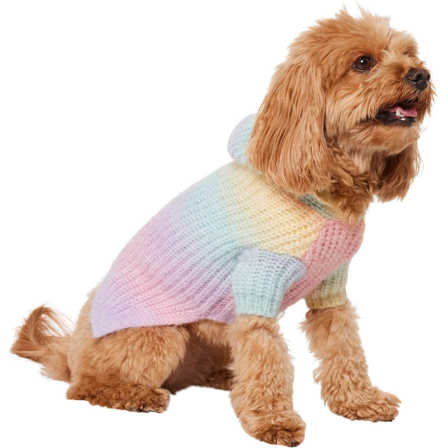 Frisco Soft Multi Stripe Ombre Dog & Cat Hooded Sweater 5 Frisco Soft Multi Stripe Ombre Dog & Cat Hooded Sweater - Image 3