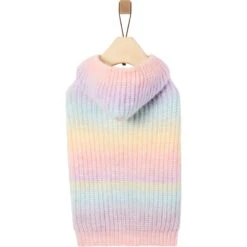 Frisco Soft Multi Stripe Ombre Dog & Cat Hooded Sweater 13 Frisco Soft Multi Stripe Ombre Dog & Cat Hooded Sweater -Cat Dog Supply Store 742838 PT3. AC SS1800 V1693233982