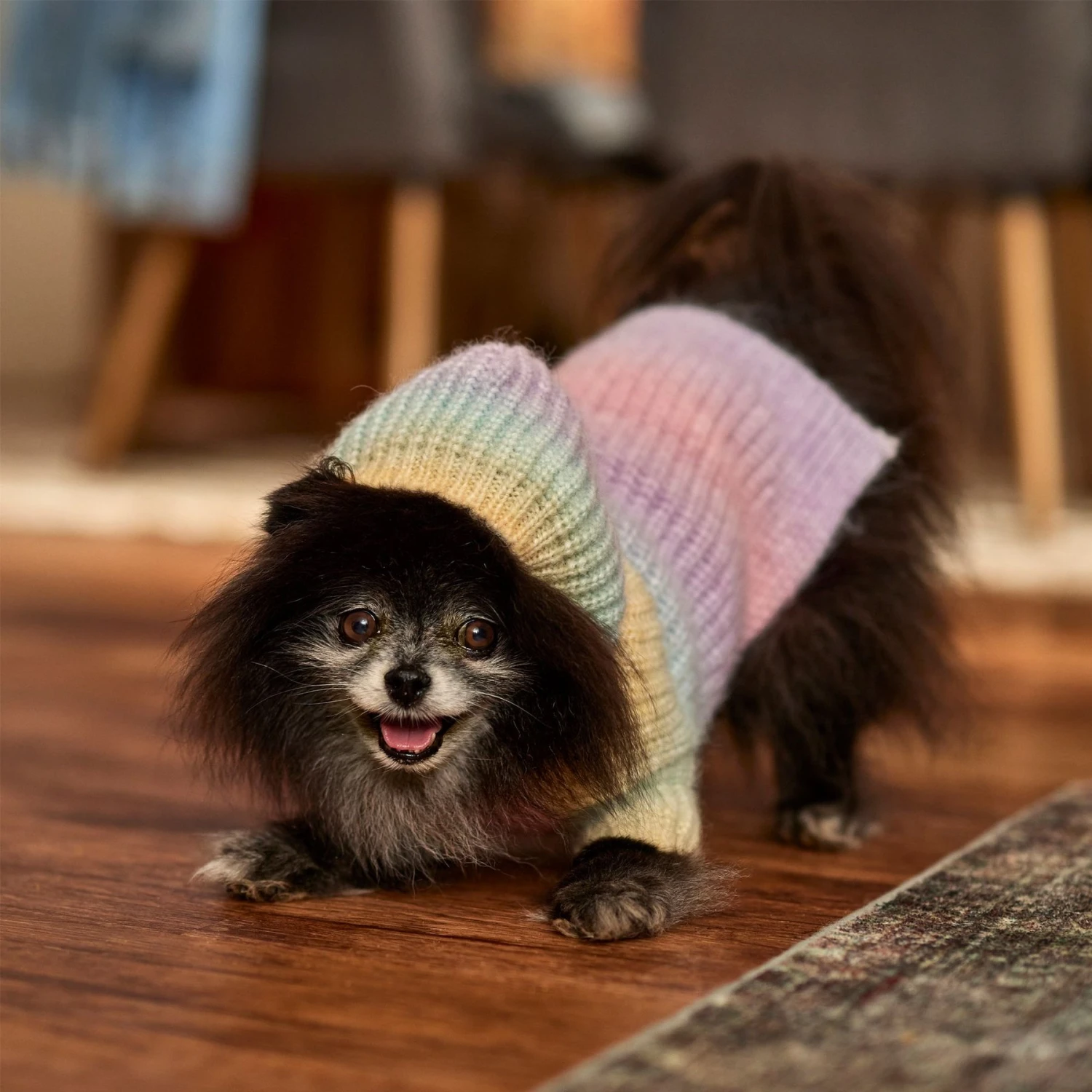 Frisco Soft Multi Stripe Ombre Dog & Cat Hooded Sweater 9 Frisco Soft Multi Stripe Ombre Dog & Cat Hooded Sweater - Image 7