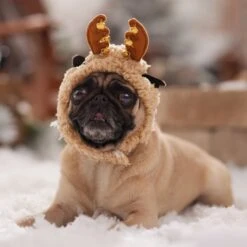 Frisco Sherpa Reindeer Dog & Cat Hat With Bells -Cat Dog Supply Store 745646 PT5. AC SS1800 V1694795597