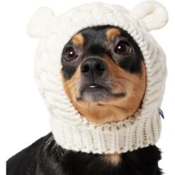 Frisco Polar Bear Sweater Knit Dog & Cat Hat -Cat Dog Supply Store 745742 PT2. AC SS1800 V1694793756