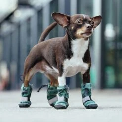 Canada Pooch Soft Shield Dog Boots -Cat Dog Supply Store 803006 PT4. AC SS1800 V1682088022