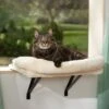 Frisco Plush Cat Window Perch With Removeable Bolster -Cat Dog Supply Store 804630 MAIN. AC SS1800 V1695933061