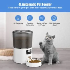 Cat Dog Supply Store -Cat Dog Supply Store 815886 PT1. AC SS1800 V1685650135