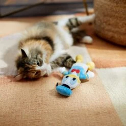 Disney Mickey Mouse Plush Kicker Cat Toy With Catnip + 3 Items -Cat Dog Supply Store 929462 PT6. AC SS1800 V1690897484