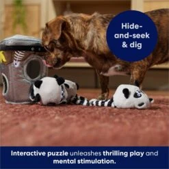 Frisco Volcano Hide & Seek Puzzle Plush Squeaky Dog Toy & Frisco Trash Can & Raccoons Hide & Seek Puzzle Plush Squeaky Dog Toy -Cat Dog Supply Store 962054 PT8. AC SS1800 V1694783037