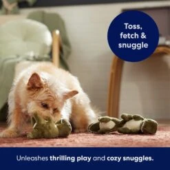 Frisco Volcano Hide & Seek Puzzle Plush Squeaky Dog Toy Refills, 3 Count & Frisco Volcano Hide & Seek Puzzle Plush Squeaky Dog Toy 15 Frisco Volcano Hide & Seek Puzzle Plush Squeaky Dog Toy Refills, 3 Count & Frisco Volcano Hide & Seek Puzzle Plush Squeaky Dog Toy -Cat Dog Supply Store 962078 PT4. AC SS1800 V1694782978