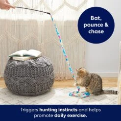 Frisco Fabric Teaser Wand Cat Toy & Frisco Bird With Feathers Teaser Wand Cat Toy With Catnip -Cat Dog Supply Store 962094 PT3. AC SS1800 V1694782977