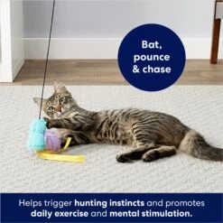 Frisco Fabric Teaser Wand Cat Toy & Frisco Bird With Feathers Teaser Wand Cat Toy With Catnip -Cat Dog Supply Store 962094 PT8. AC SS1800 V1694782976