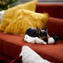 Frisco Holiday Reindeer Bungee Plush Squeaky Dog Toy & Frisco Holiday Snowman Bungee Plush Squeaky Dog Toy -Cat Dog Supply Store 986126 PT8. AC SS1800 V1698346274