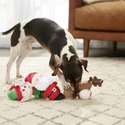 Frisco Holiday Santa's Helpers Plush Squeaky Dog Toy, 3 Count & Frisco Holiday Tree Thin Plush Squeaky Dog Toy 14 Frisco Holiday Santa's Helpers Plush Squeaky Dog Toy, 3 Count & Frisco Holiday Tree Thin Plush Squeaky Dog Toy -Cat Dog Supply Store 986222 PT4. AC SS1800 V1698258463