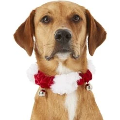 Frisco Holiday Dog & Cat Santa Hat, 1 Count & Frisco Jingle Bells Dog & Cat Holiday Collar With Bells, 1 Count -Cat Dog Supply Store 986254 PT7. AC SS1800 V1698258115